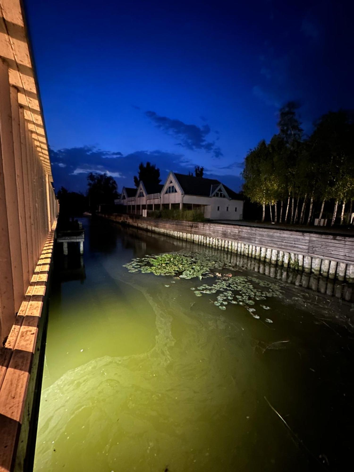 Haus Am See Нойзидл ам Зее Екстериор снимка