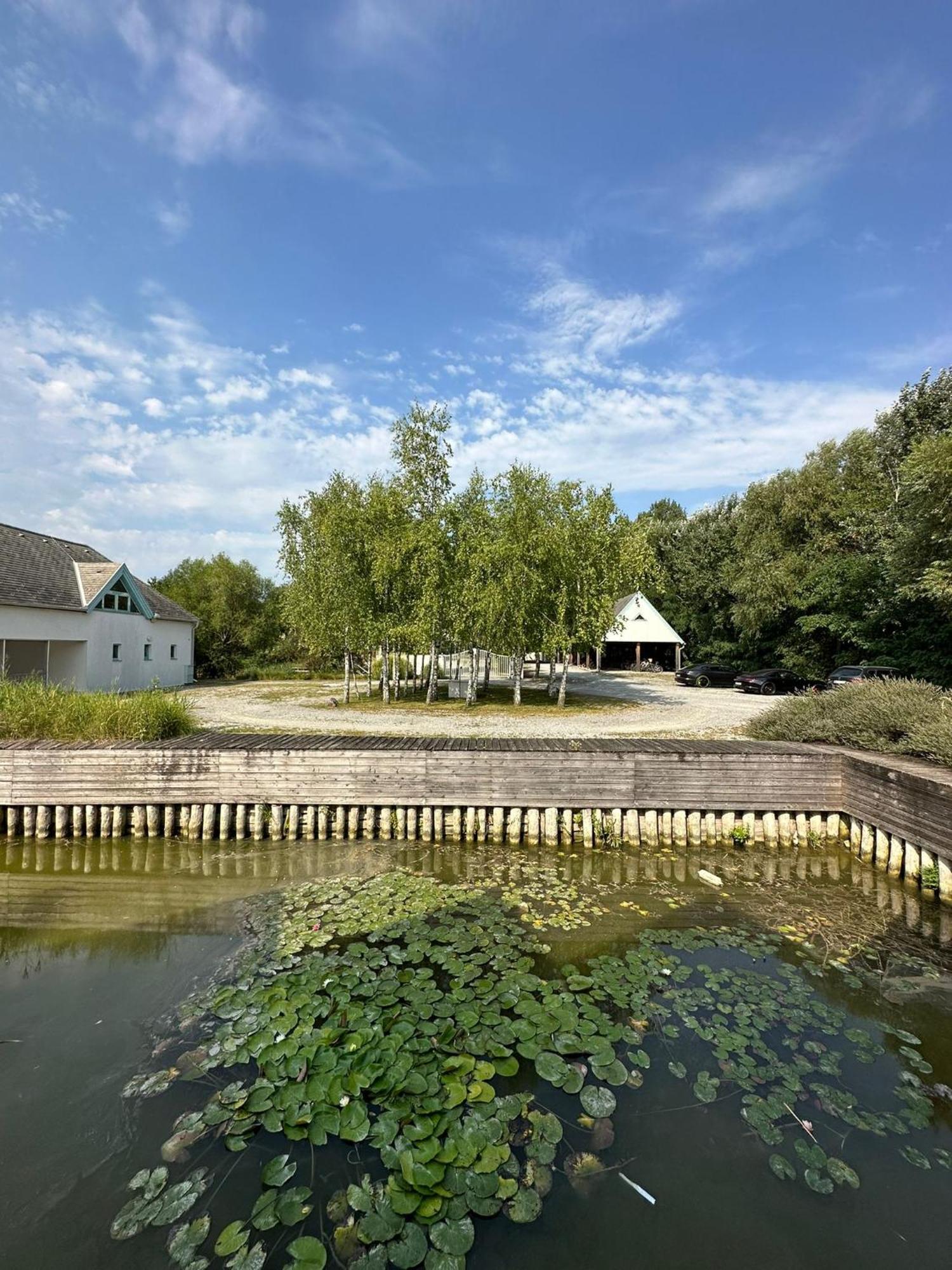 Haus Am See Нойзидл ам Зее Екстериор снимка
